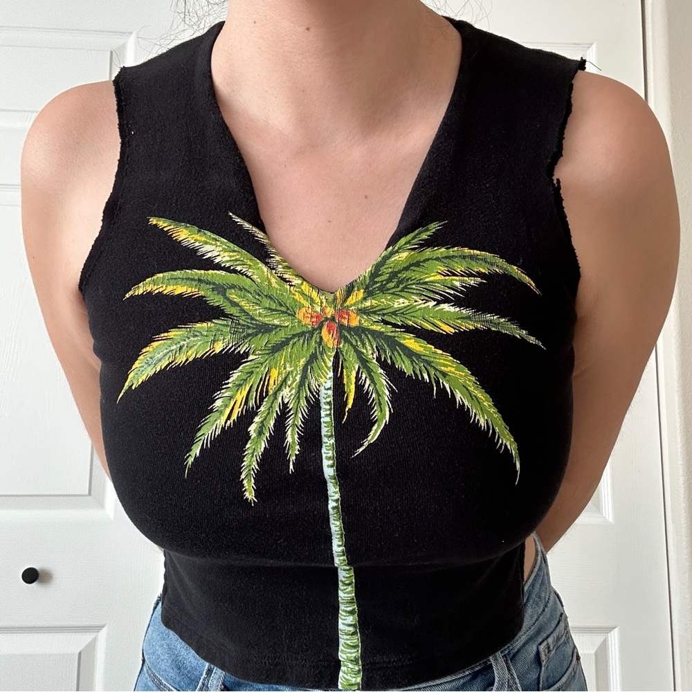 Cropped palm tree top